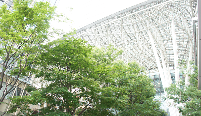 盈和体育会员注册 【楽天市場】《最大3合糖質オフ / 5つ星お米マイスターも「うまい」と認めた炊飯器》 糖質カット 炊飯機 雑穀米 玄米 無洗米 炊き込みご飯 スタイリッシュ キッチン しぇんみ 蒸気洗浄 2合 1合 ZHENMI【楽天総合ランキング1位獲得】テレビCM放送商品 5つ星お米マイスター認定の美味しさ★炊飯器 IH式 糖質カット炊飯器 最大3合 ZHENMI シェンミ IH式 炊飯器 低糖質炊飯器 糖質オフ 糖質 低糖質 糖質制限 糖質管理 ダイエット ロカボ プレゼント ギフト(JuntakuShop) | みんなのレビュー・口コミ