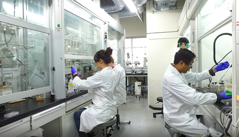 AG体育应用娱乐平台 【楽天市場】ナイキ 3P エブリデイ クッション クルー ソックス【NIKE】ナイキソックス19SU (SX7664)(ピットスポーツ　楽天市場店) | みんなのレビュー・口コミ